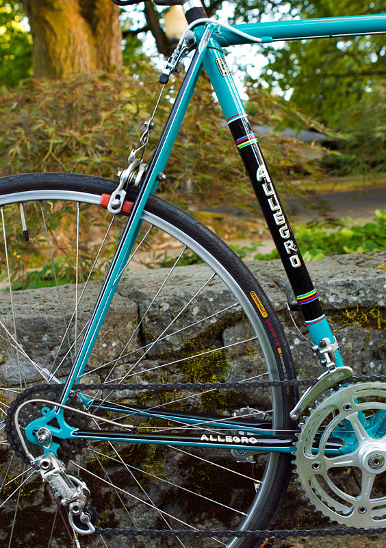 Tell Your Story: 1964 Allegro Special | The Simplicity of Vintage Cycles