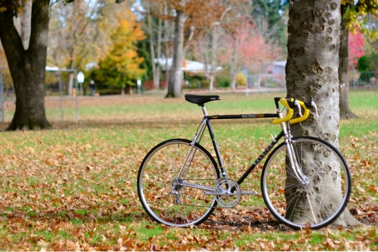 1984 Raleigh Prestige