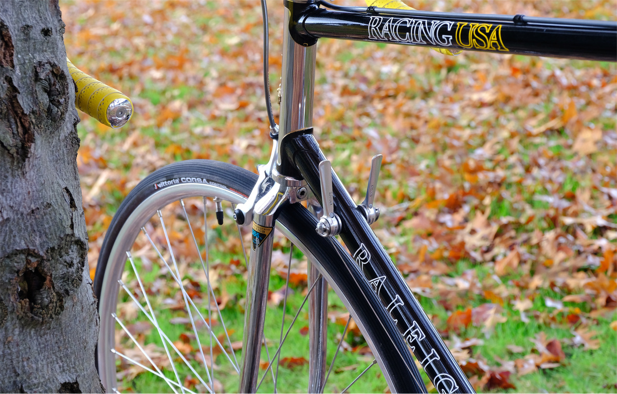 1984 Raleigh Prestige