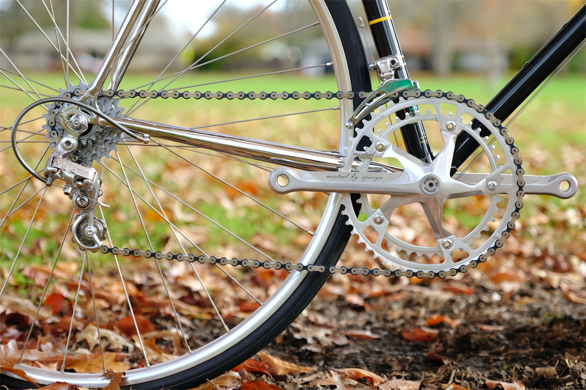 1984 Raleigh Prestige